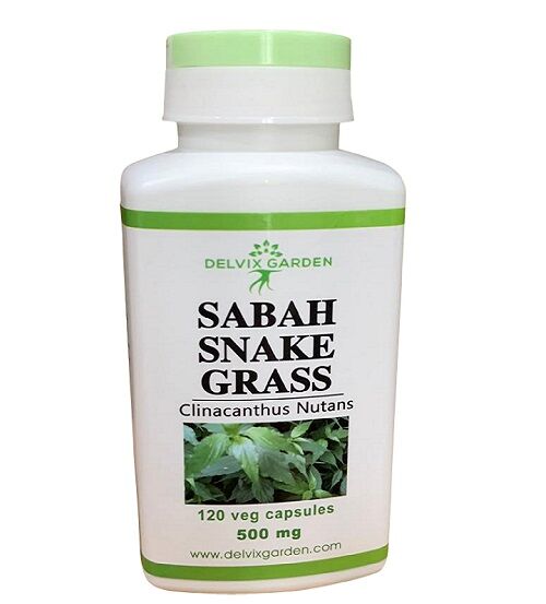 Sabah Snake Grass Supplement Capsules - Clinacanthus Nutans Extract, 500mg, 120 Count: Natural Herb for Wellness - Image 1