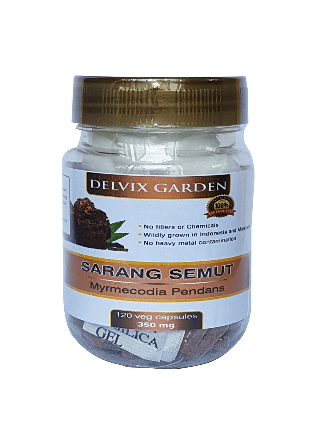 Sarang Semut (Myrmecodia Pendans), 120 Vegetable Capsules, 350 mg, of Premium Myrmecodia Pendans, Sarang - Image 1