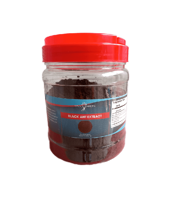 Energy Booster Black Ant Extract Powder, 8 oz: Potent Polyrhachis Ant Extract Powder Sale - Image 1